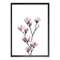 Magnolia Flower