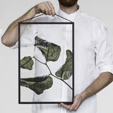 Floating Leaves Print