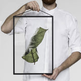 Floating Leaves Transparent Print 04