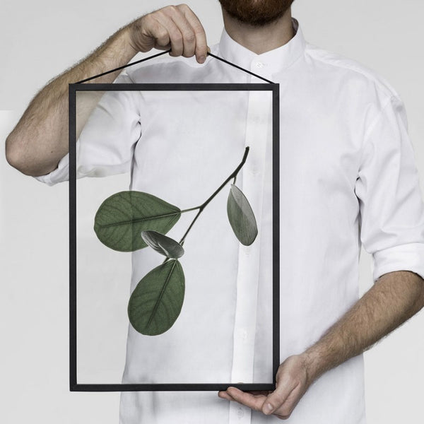 Floating Leaves Transparent Print 05
