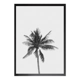 Palm Tree PRINT