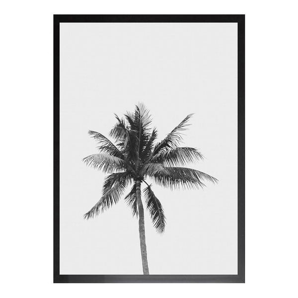 Palm Tree PRINT