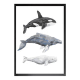 The 3 Whales PRINT