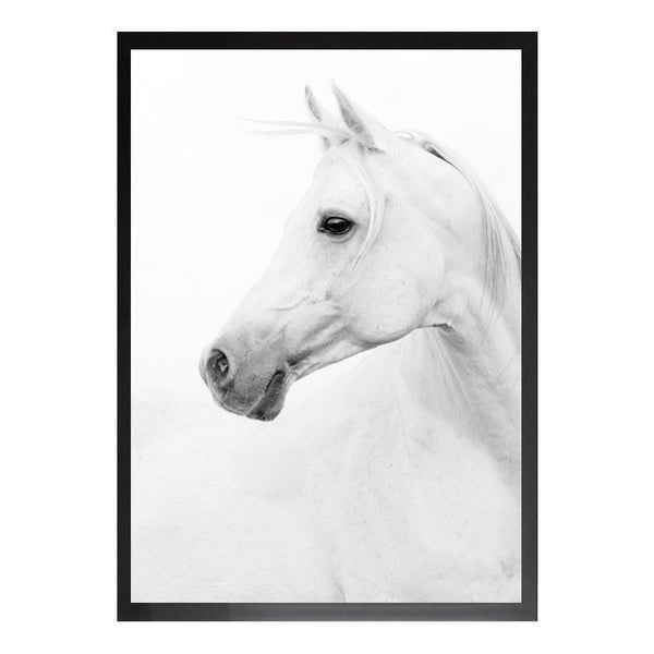 White Horse PRINT